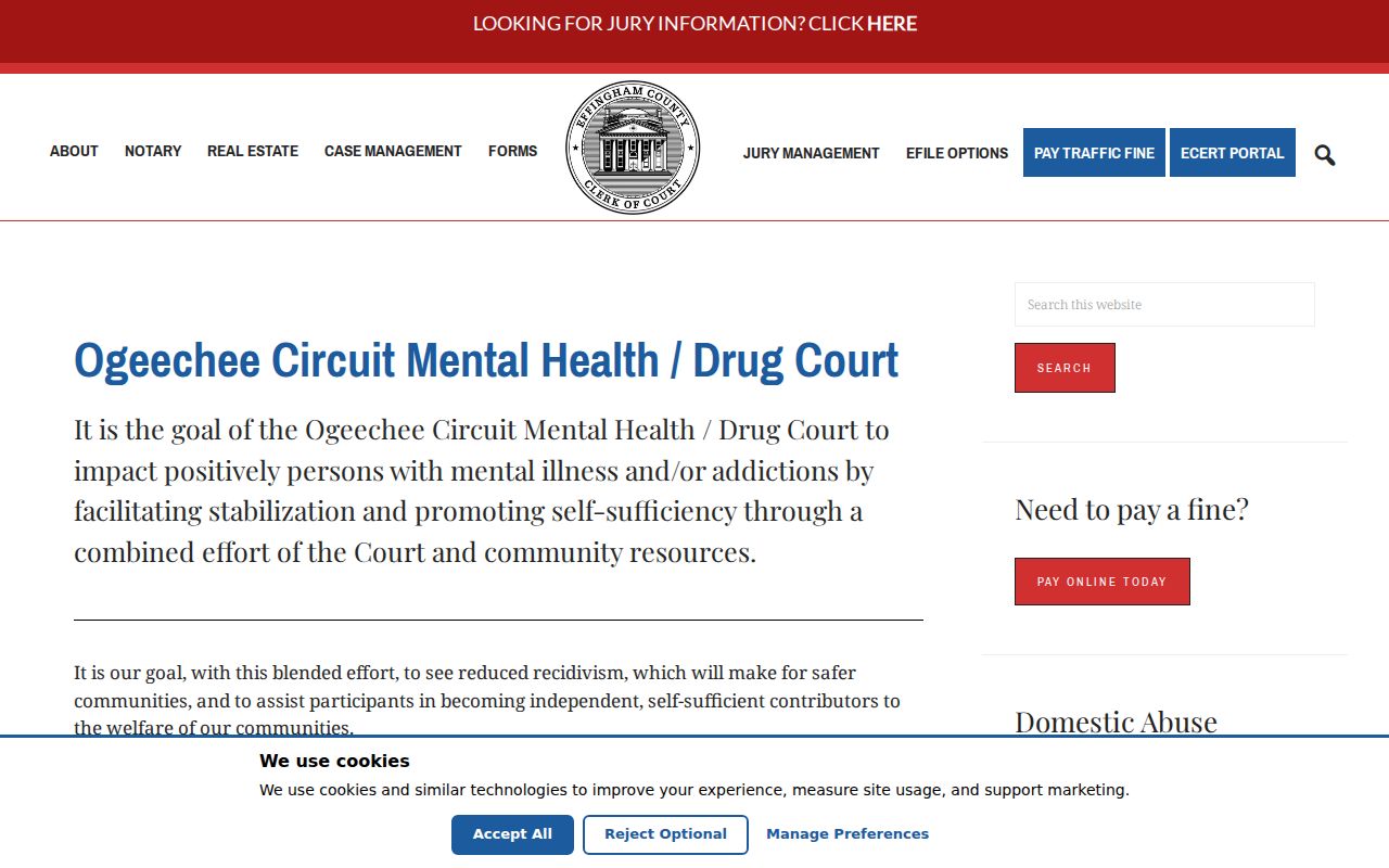 Effingham County criminal docket Ogeechee treatment court program