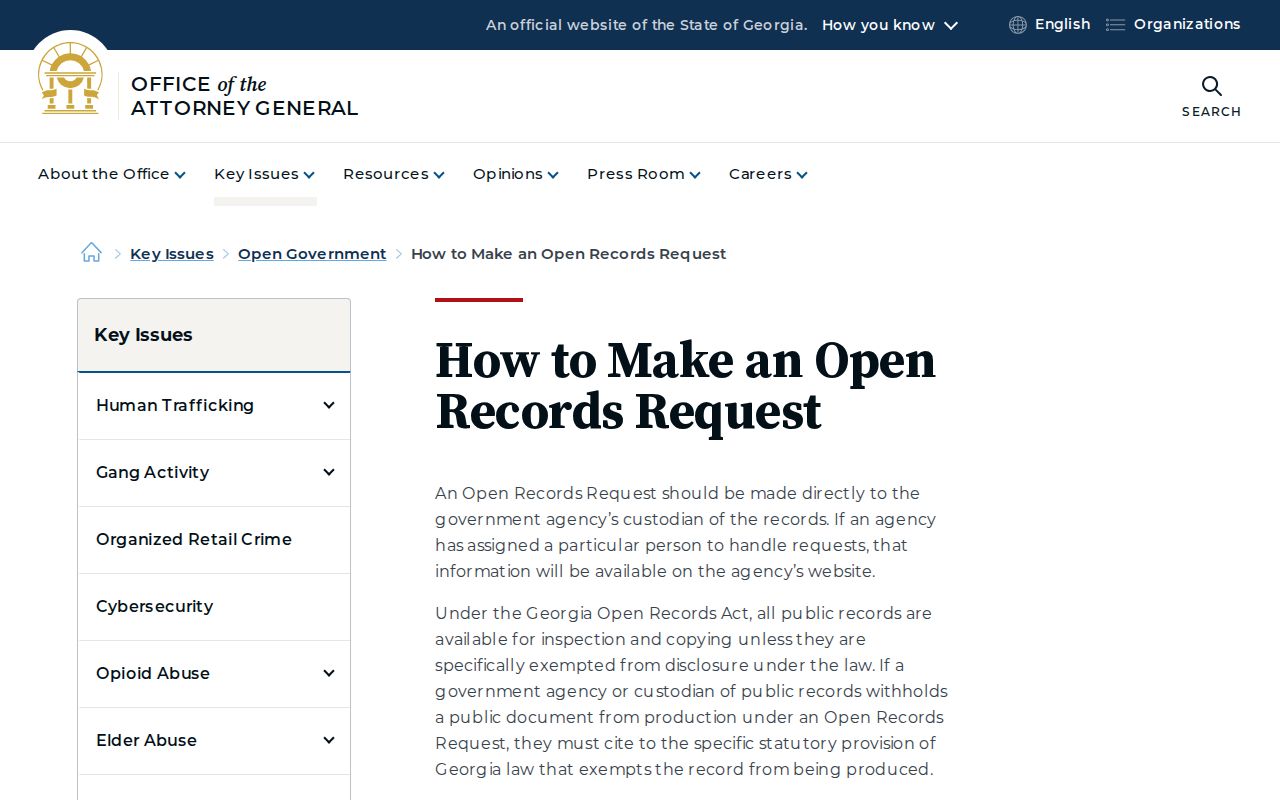 Effingham County court records Georgia open-government instructions